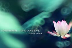 开云体育在线-蓝衣折戟，红焰燎原，坎塞洛导演逆转，智利门神封神之夜