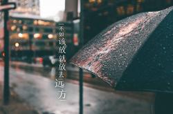 开云体育app-冰与火的终章，2026世界杯F组，泰国绝杀冰岛之夜，阿方索·戴维斯一个人改写历史