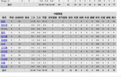 开云体育官网-世界聚焦！CBA赛事全球收视创新高的简单介绍