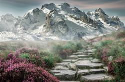 开云体育中国-超越篮球的文化符号，独行侠击败天津，莫兰特扛起了一座城市的骄傲