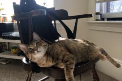 开云体育入口-绝境欧文，一幅名为第四节的现代油画，在第三节提前完成