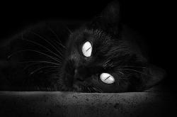 开云体育APP下载-数据之外，当冰冷马刺穿透印第安纳热土，切特如何用11英尺的野心接管东决？