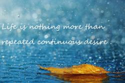 开云体育入口-跨越国界的双响炮，巴拉圭新星震撼加盟塞维利亚，奥斯梅恩在国家德比上演接管式表演