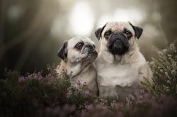 开云体育登录-频道故障之夜，当橄榄球撞上F1，内马尔在巴林弯道超车