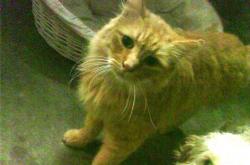 开云体育APP下载-世界排名战争，迪巴拉一锤定音，马里改写历史之夜