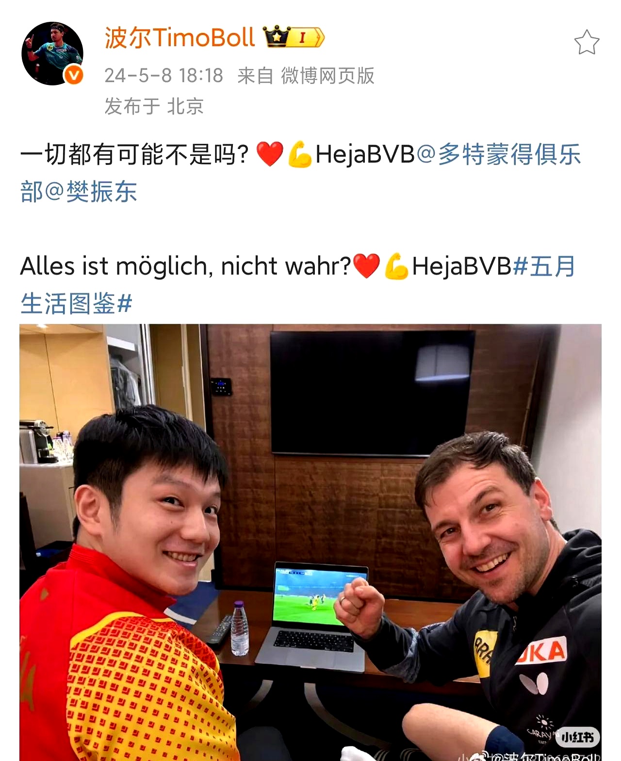 奥地利乒乓球队绝地反击中国乒乓球队，波尔送出助攻