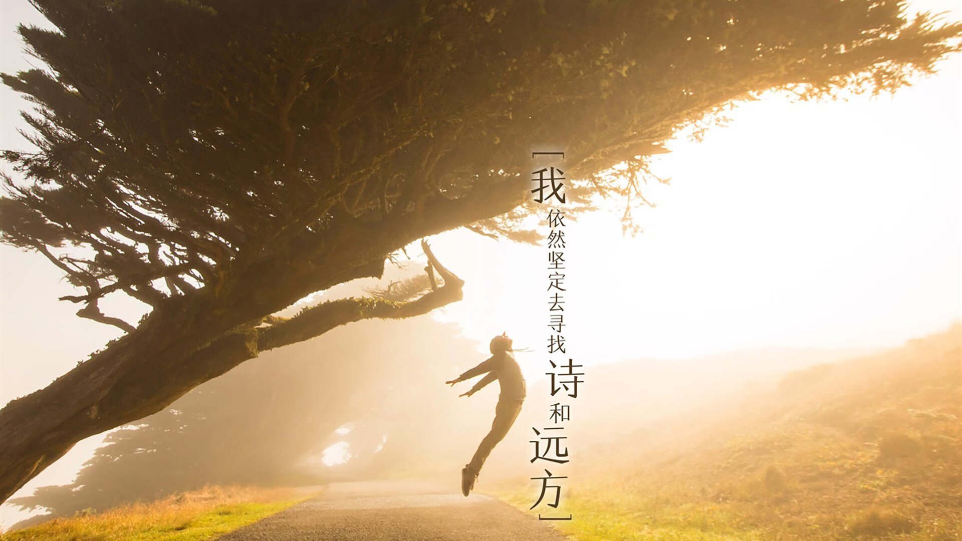 看到您提供的这两个关键词,我的第一反应是—这像是一场跨越时空的误译或一场精心构思的隐喻。请允许我为您构建一个独一无二的故事现场,它并非字面的征服,而是一次文化的碰撞与回响