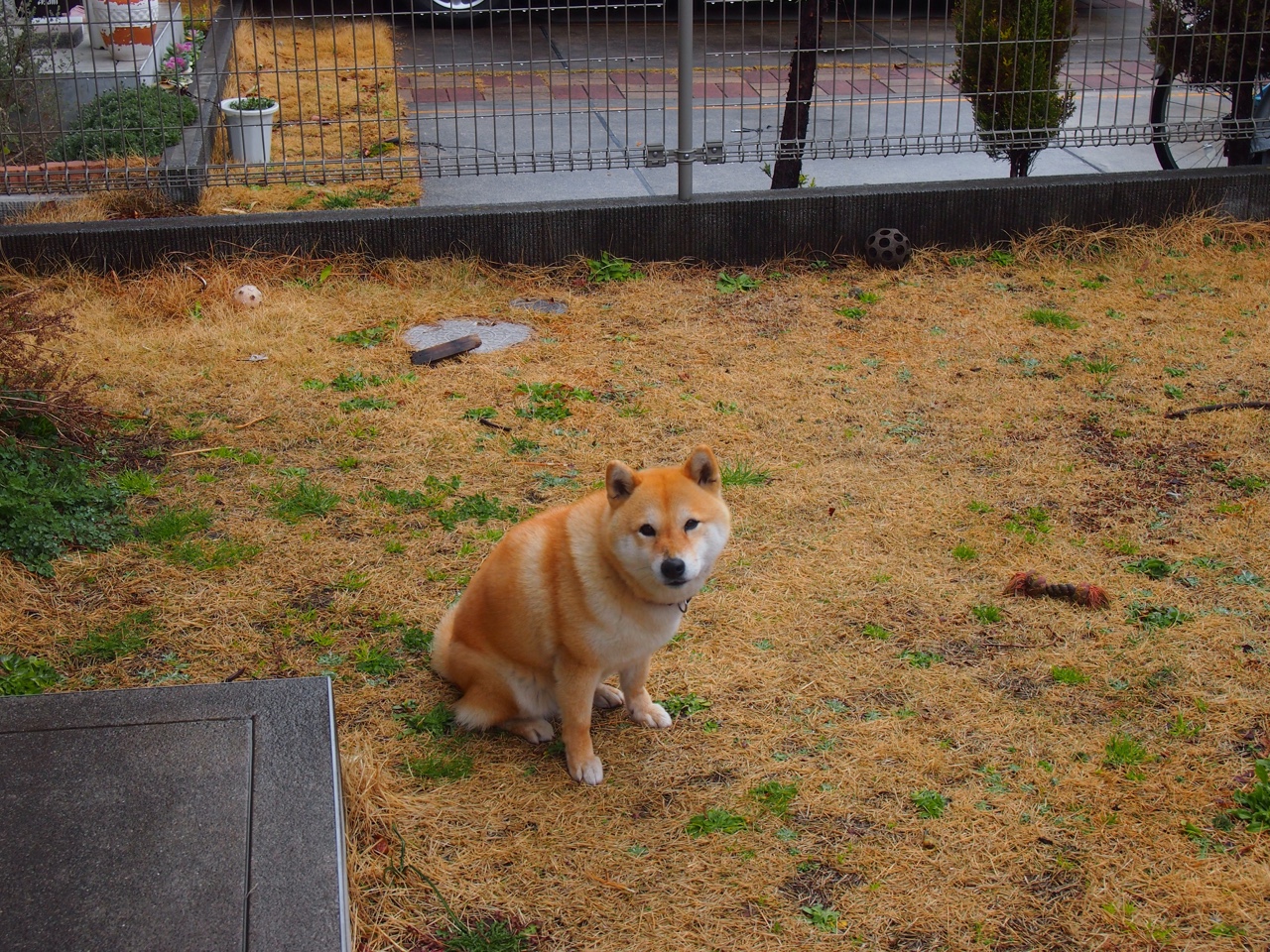 AC米兰强势晋级皇家社会,萨拉赫成为关键先生—一场属于平行世界的足球魔法