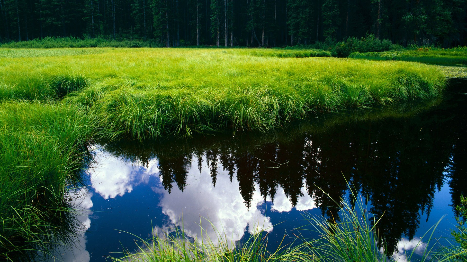 命运双线，布克接管F1争冠战役，奇才逆转火箭背后竟有神同步？