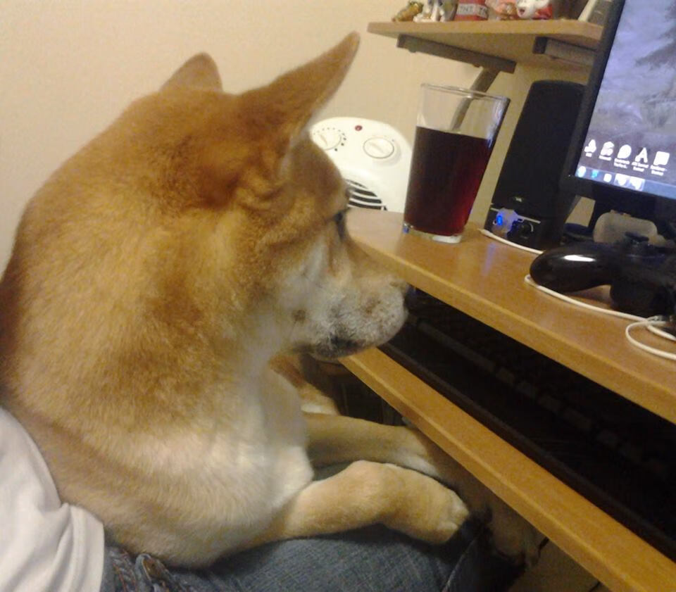 弯道战争，当玻利维亚的高海拔战术粉碎新西兰的南半球奇迹