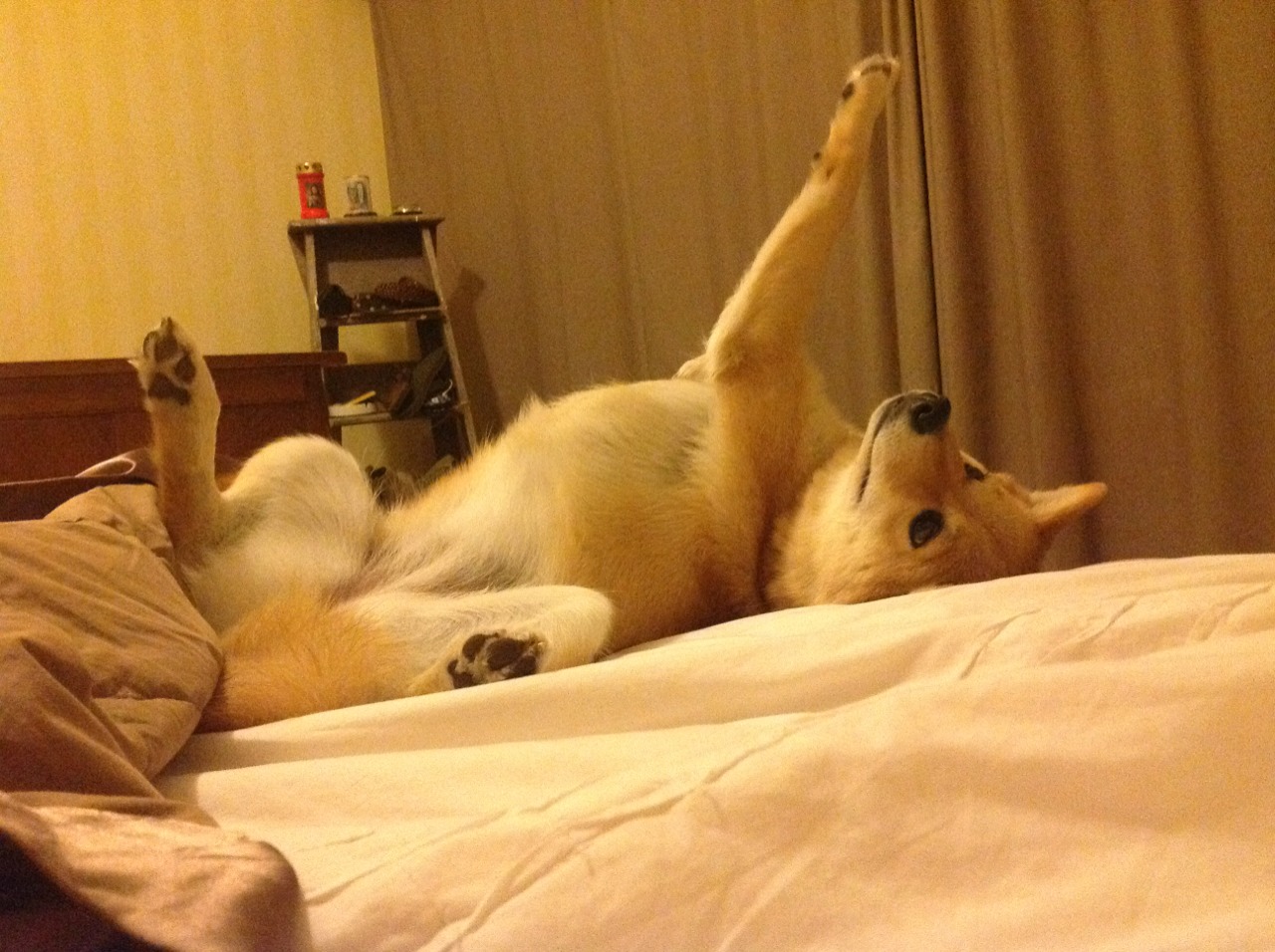 风暴之眼，圣西罗的兵刃交响与俄城的雷霆审判