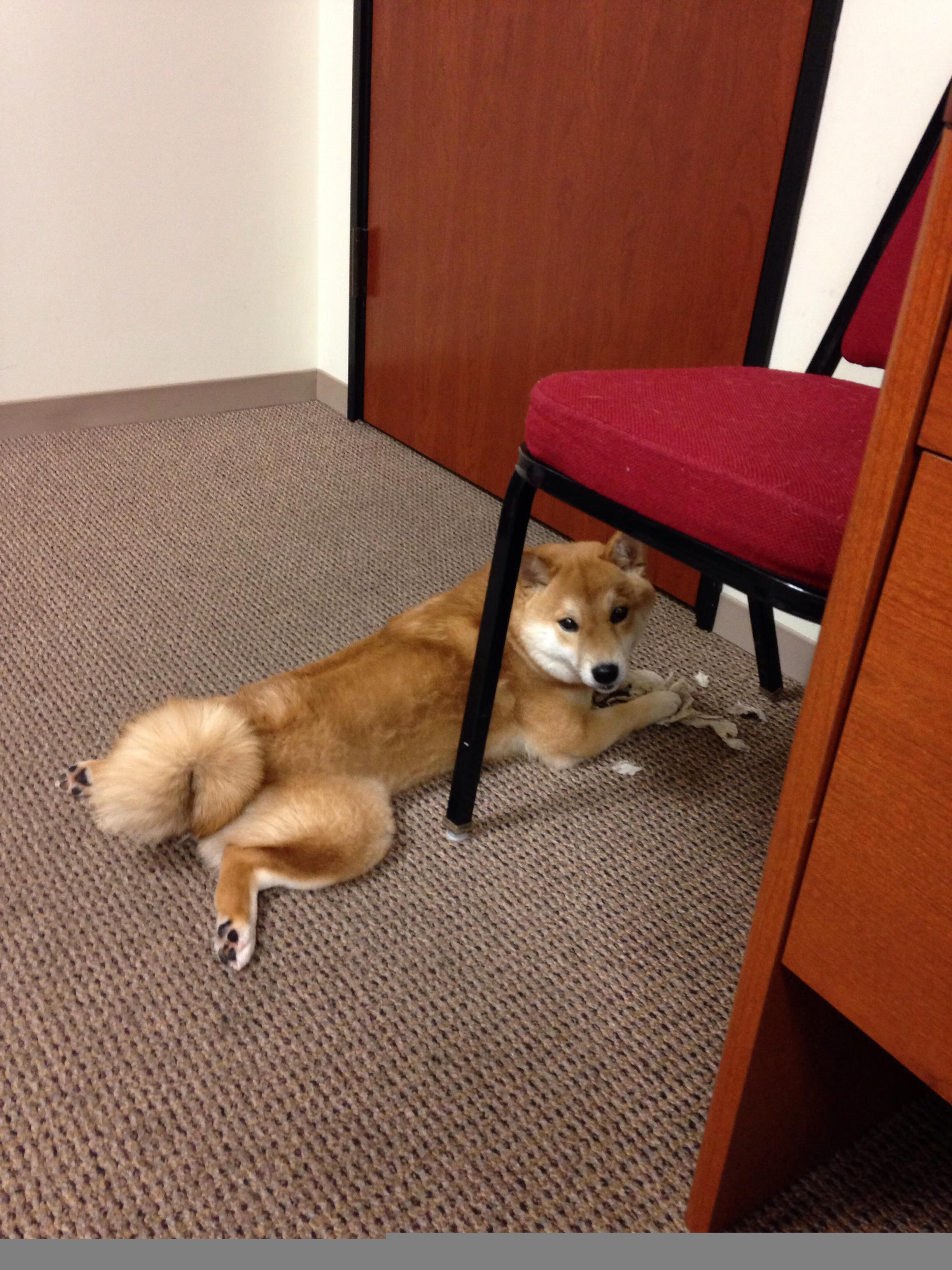 封神之夜,梅西如何以一人之力撕裂钢铁森林