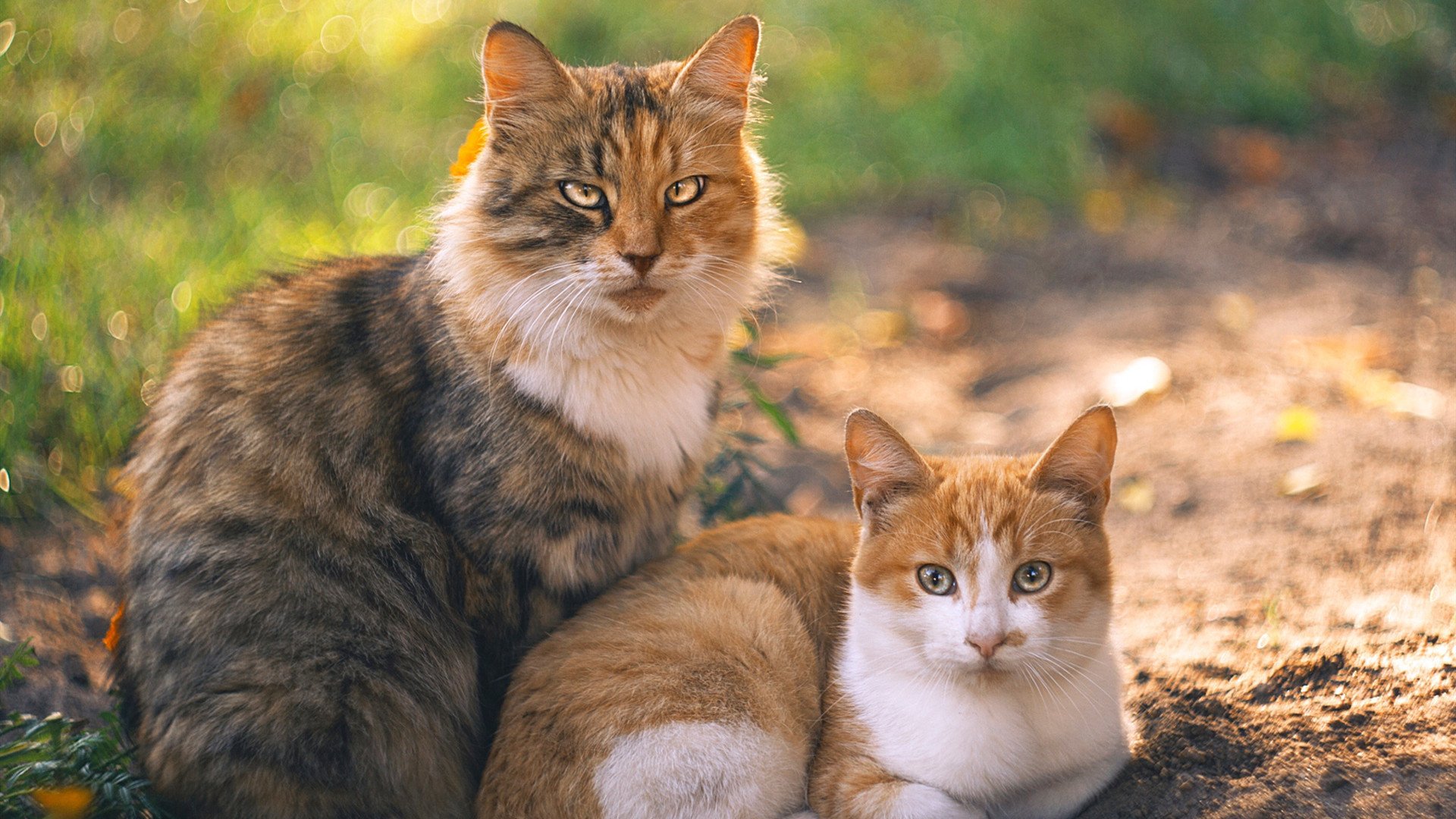 风暴眼与救赎,布雷默绝杀助毕尔巴鄂撕裂曼城防线