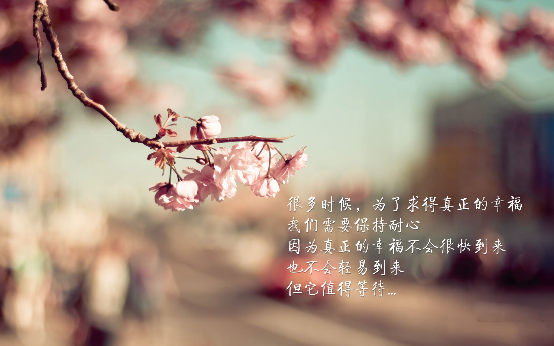 恩佐全程高能输出，加拿大爆冷击败荷兰的制胜密钥