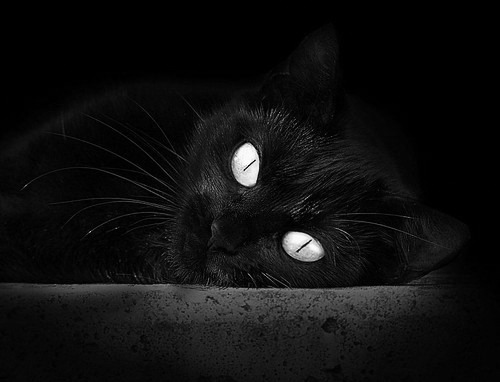 数据之外,当冰冷马刺穿透印第安纳热土,切特如何用11英尺的野心接管东决?