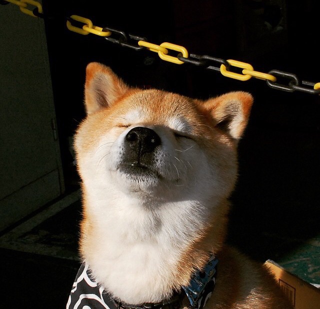 风中的舞者，迪马利亚弧线刺穿黑夜，国际米兰绝境铸就史诗