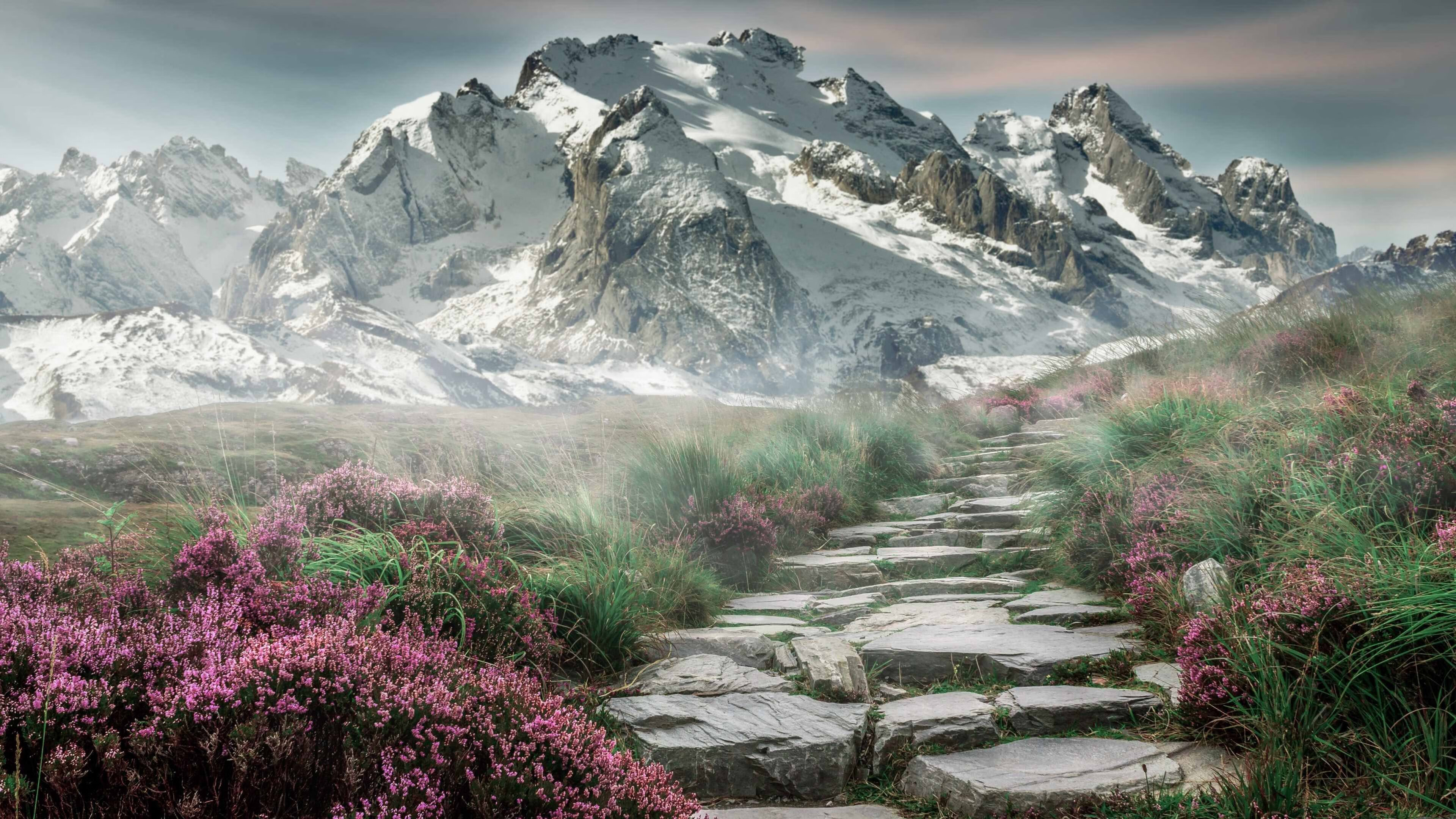 荷兰新王登基!加克波梅开二度弑杀德国战车,郁金香于废墟中绽放