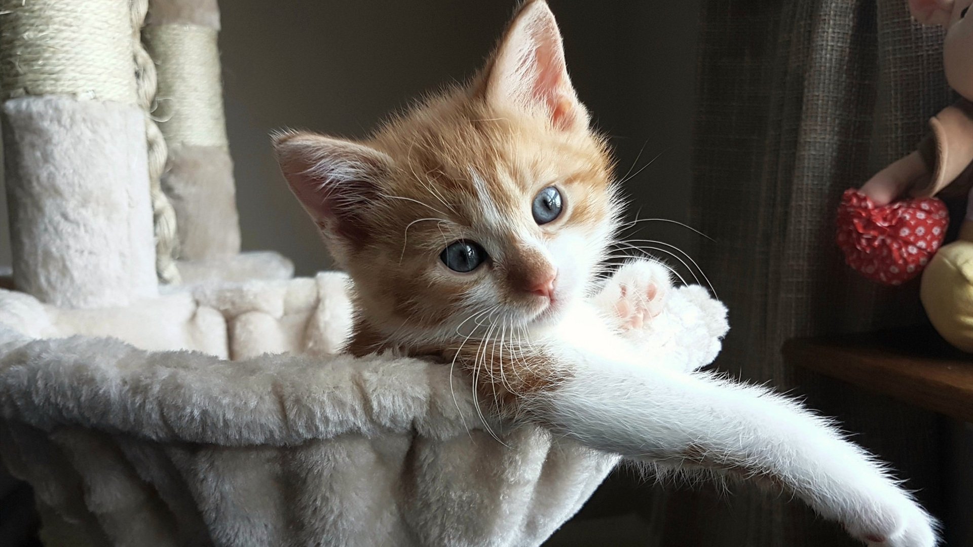 唯一性闪耀欧战，塞维利亚一波带走利物浦，布鲁诺统治全场的传奇之夜