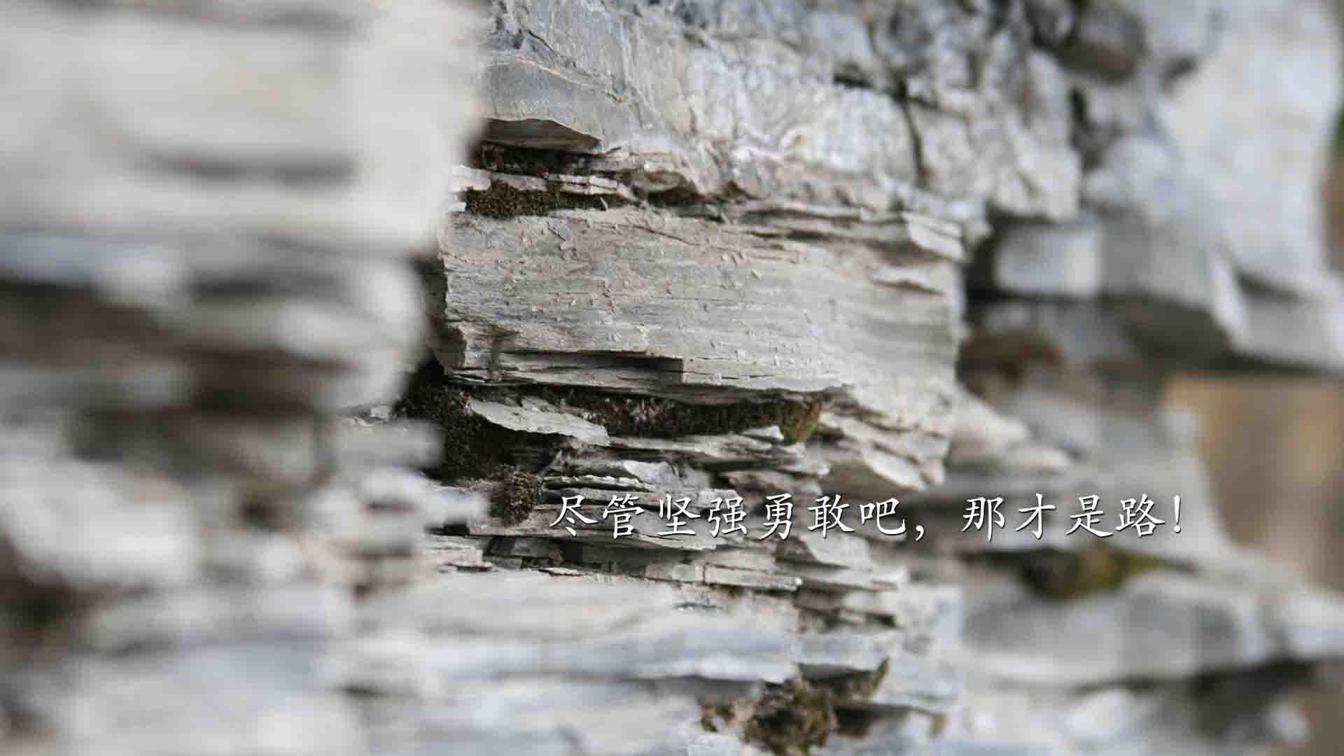 沙漠之狮的致命一击,摩洛哥在2026世界杯A组以节奏掌控绝杀印度,罗德里戈演绎中场大师课
