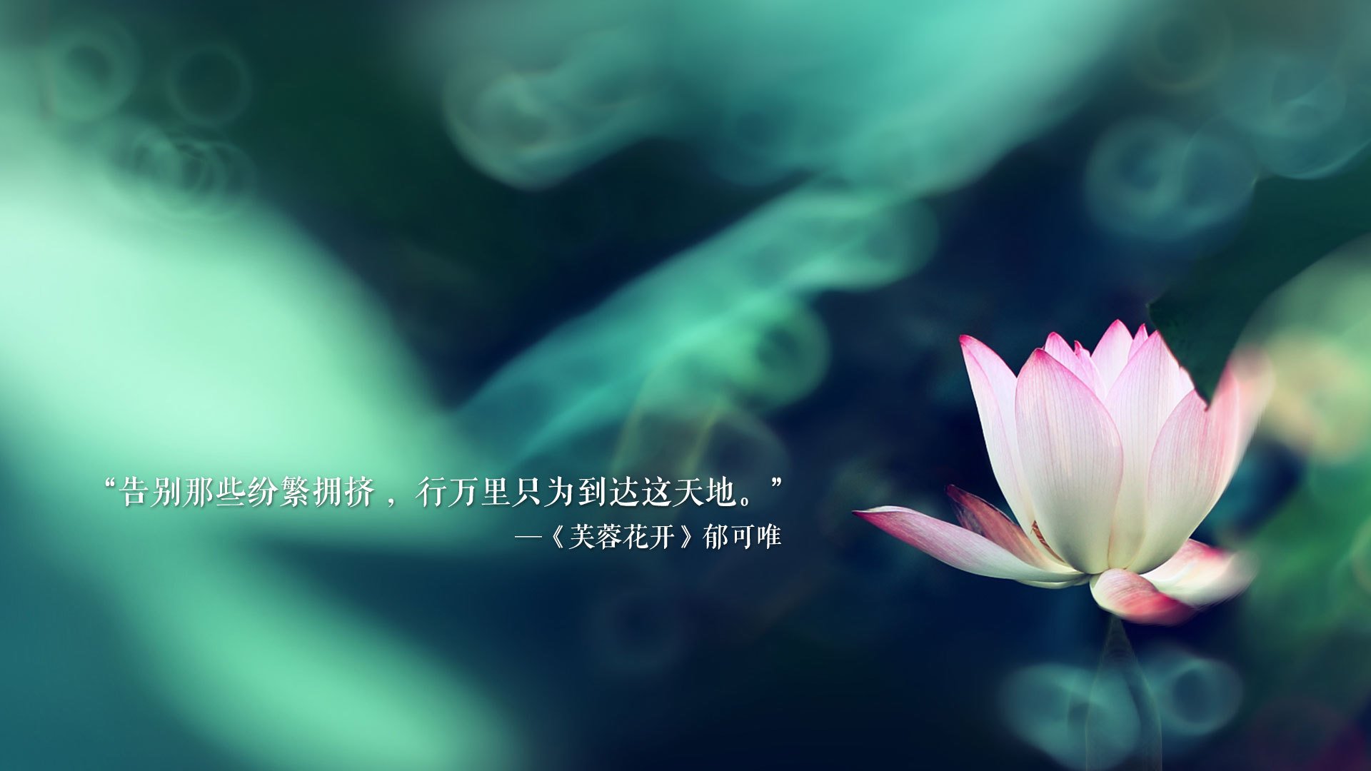 蓝衣折戟,红焰燎原,坎塞洛导演逆转,智利门神封神之夜